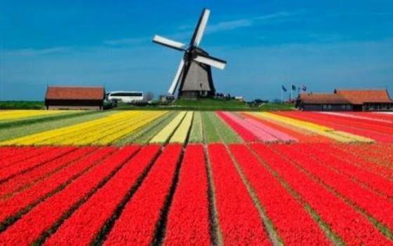 SchermerhornDe Weideblomアパートメント エクステリア 写真